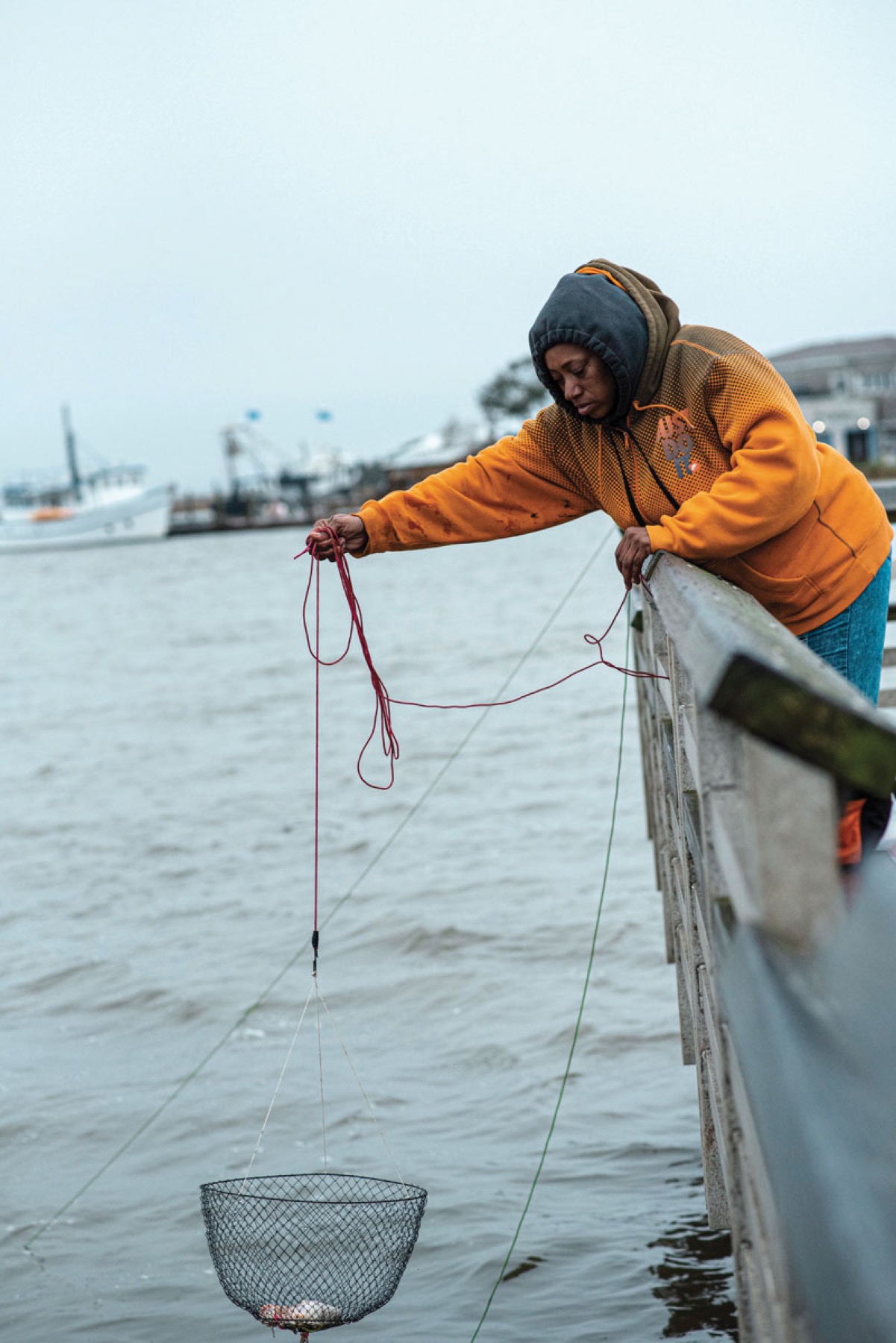 Fisherman Dumps Net Of Live Bait Into Bait Well On Commercial Boat